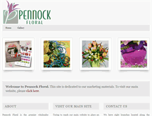 Tablet Screenshot of pennock-marketing.com